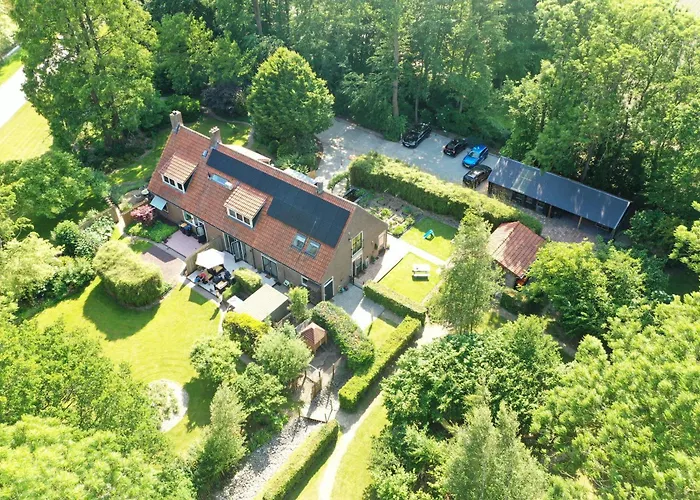 De Buitenhof