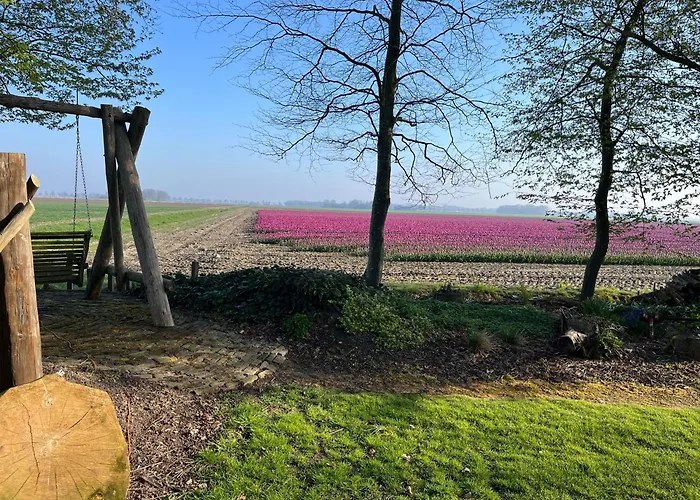 De Buitenhof